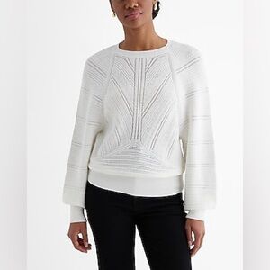 NWT Express Open Stitch Crew Neck Sweater